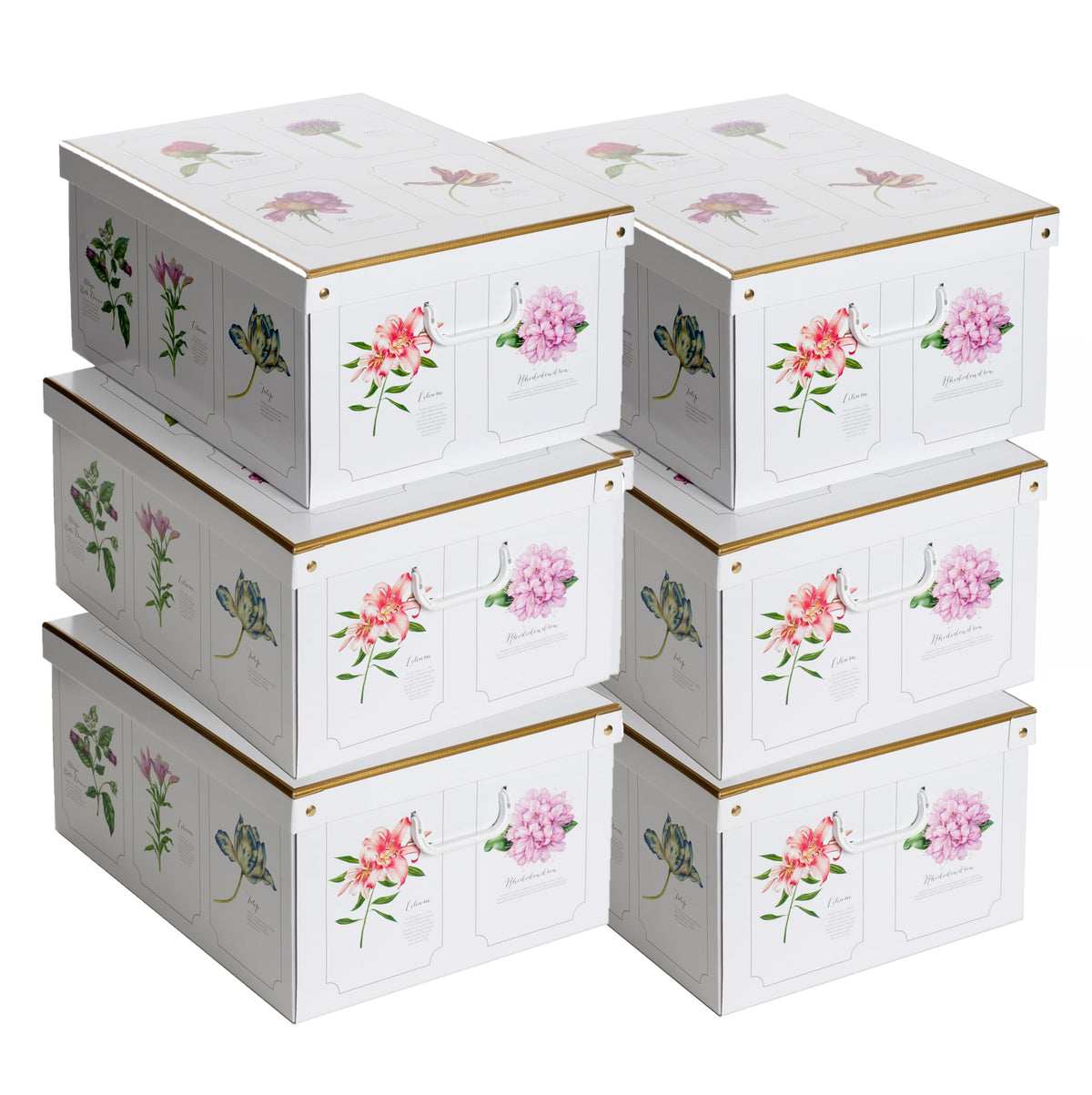 Lavatelli Set of 6 Cardboard Storage Boxes with Lid Botanic 39x50x24cm