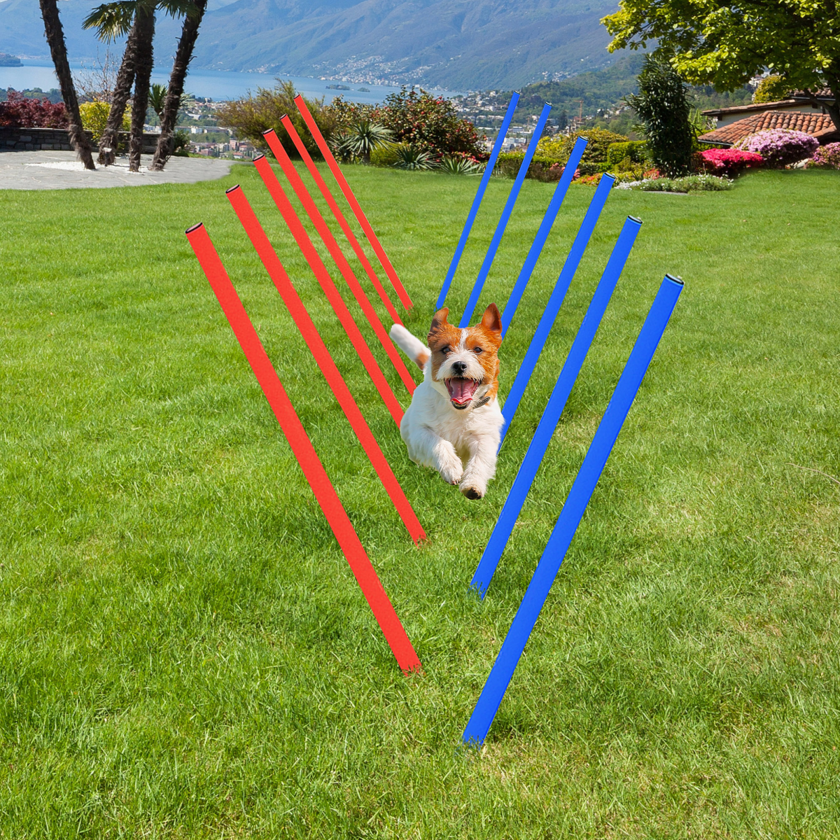 Pet Agility Set Training Play Kit Dog Hoop Poles Tunnel Obedience Equipment