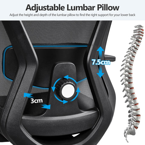 Yaheetech Ergonomic Desk Chair with Adjustable Lumbar Support Black