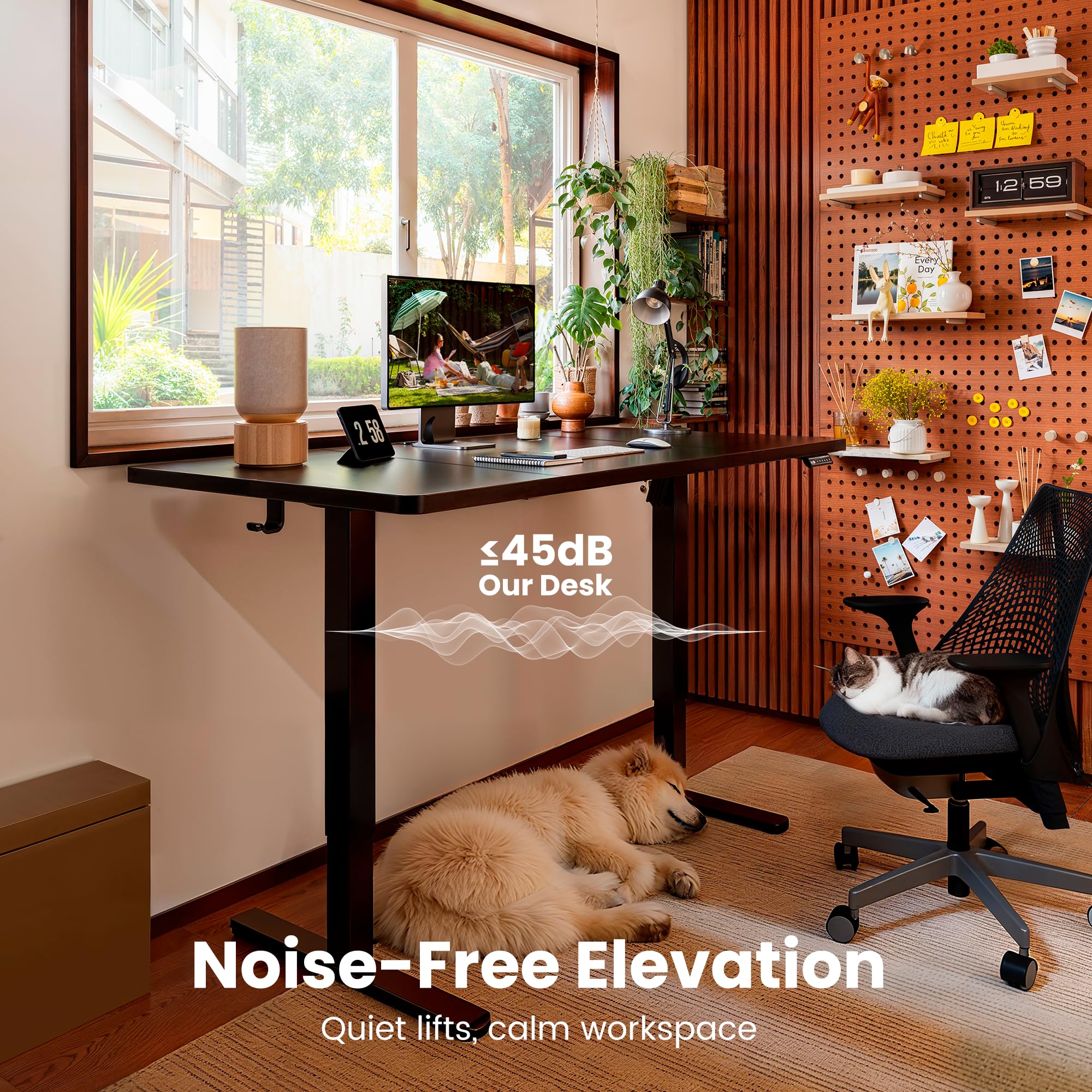 ErGear Electric Standing Desk 120 x 60cm 4 Memory with Splice Board