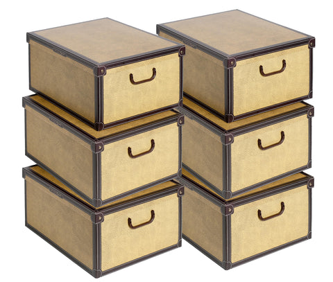 Lavatelli Set of 6 Cardboard Storage Boxes with Lid Tapirus 40x50x25cm