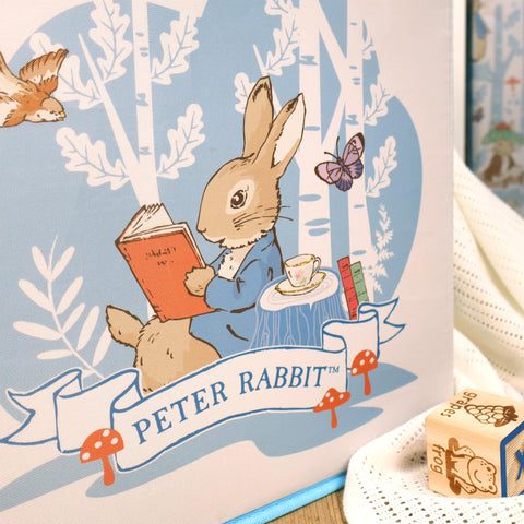 Robert Frederick Peter Rabbit Fabric Storage Cubes – Pack of Two, Large, Blue & White