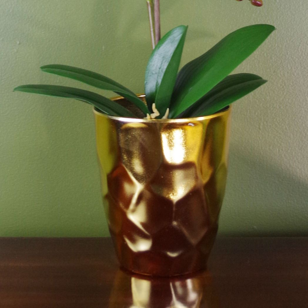 54cm Artificial Orchid Plant White with Gold Pot