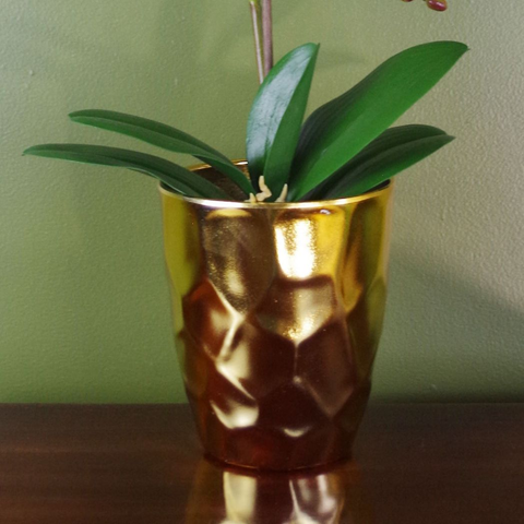 54cm Artificial Orchid Plant White with Gold Pot