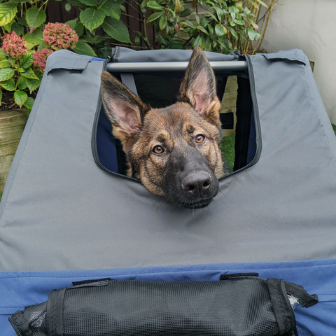 Pet Bicycle Trailer Dog Cat Bike Carrier Water Resistant W/ Hitch Coupler Blue