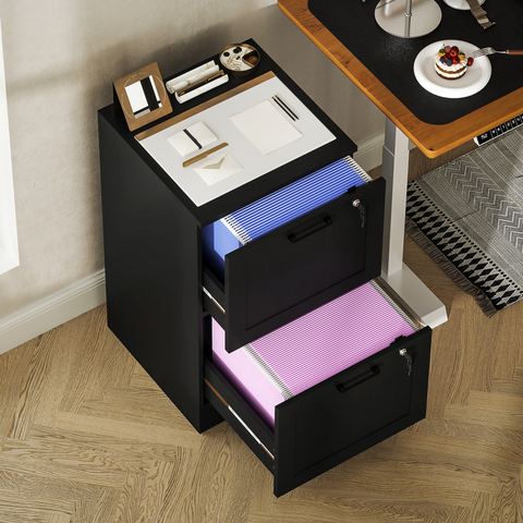 HOMCOM 2 Drawer File Cabinet with Lock and Adjustable Hanging Bars, Black