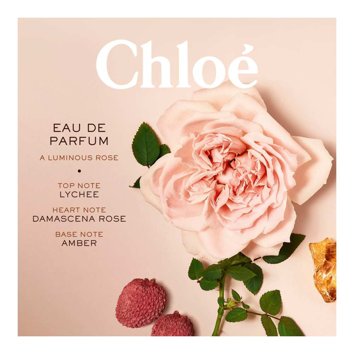 Chloe Signature Eau De Parfum Spray 75ml