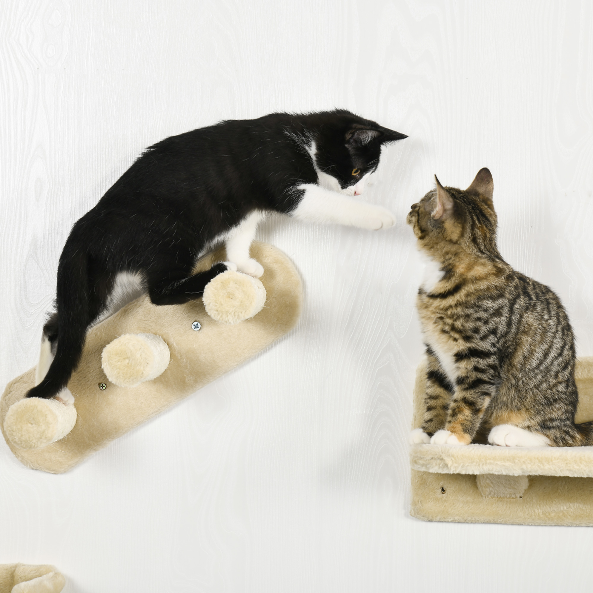 Wall-Mounted Cat Shelves w/ Hammock, Nest, Scratching Post - Beige Pawhut