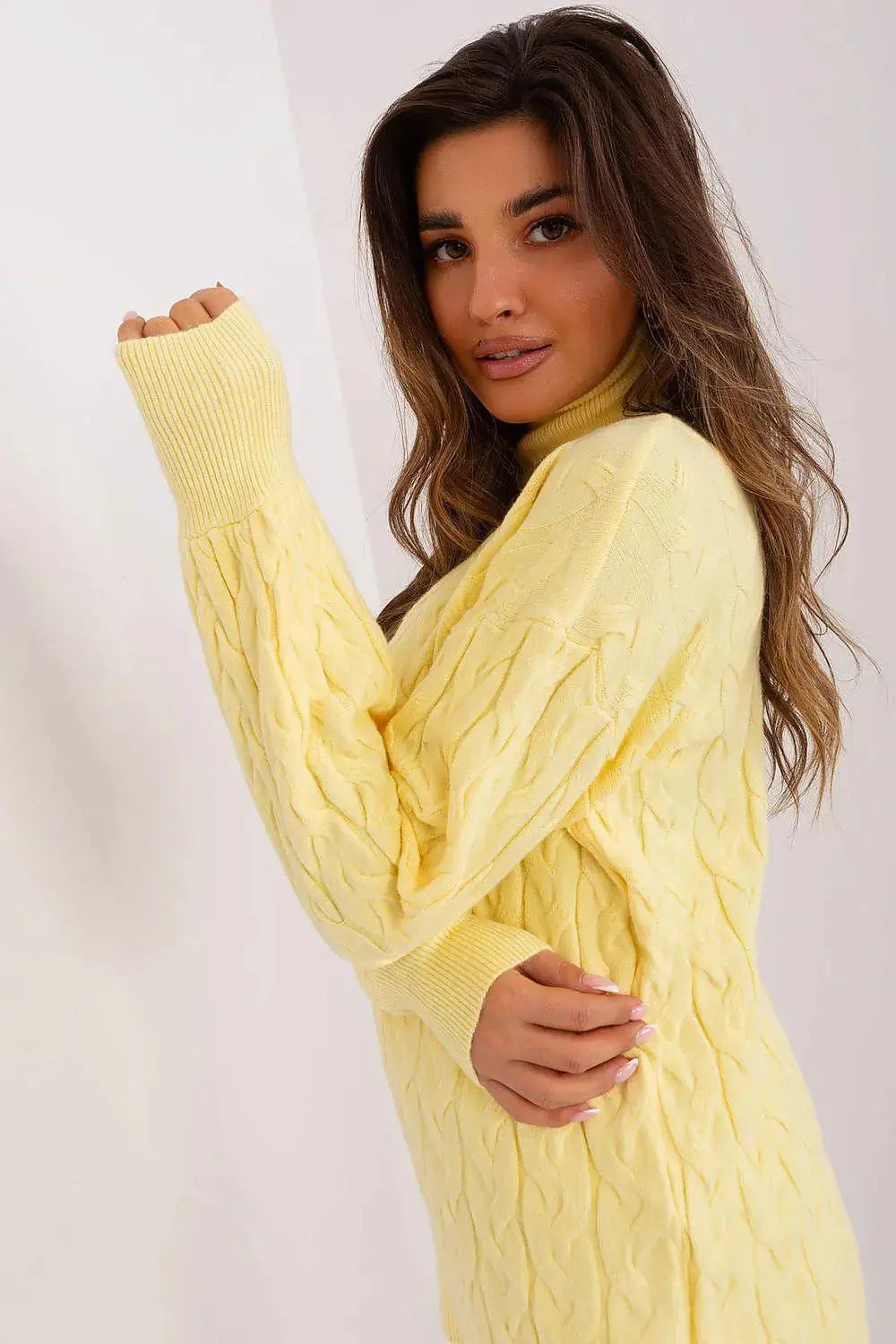 AT long sleeve turtleneck sweater