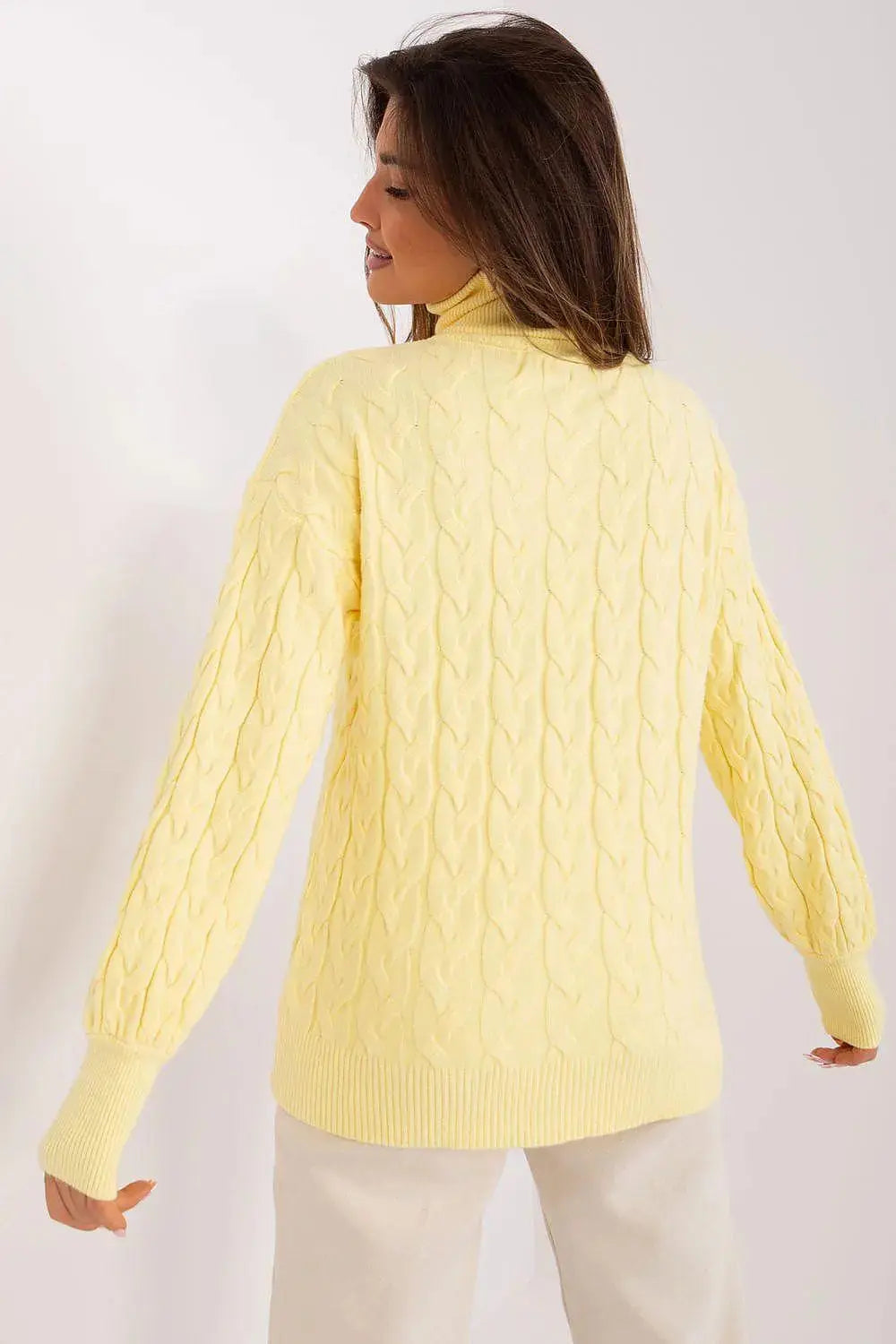 AT long sleeve turtleneck sweater