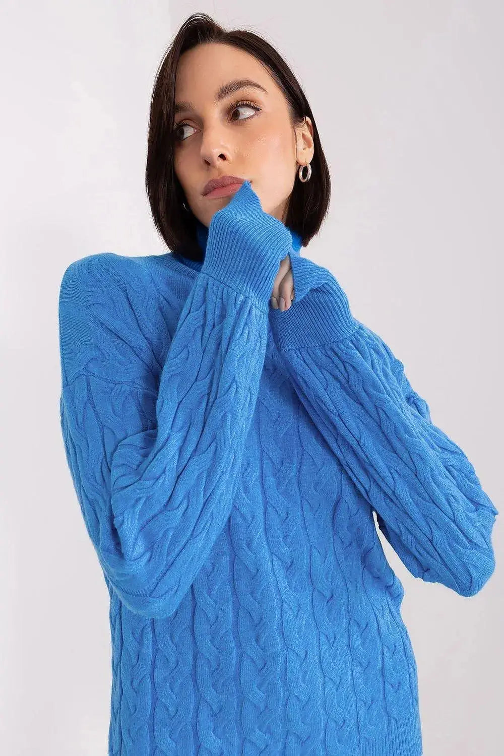 AT long sleeve turtleneck sweater