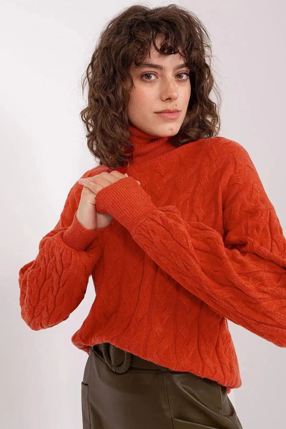 AT long sleeve turtleneck sweater