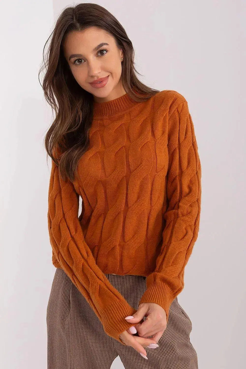 AT unique character womens sweater