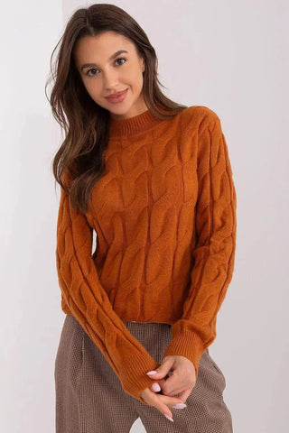 AT unique character womens sweater