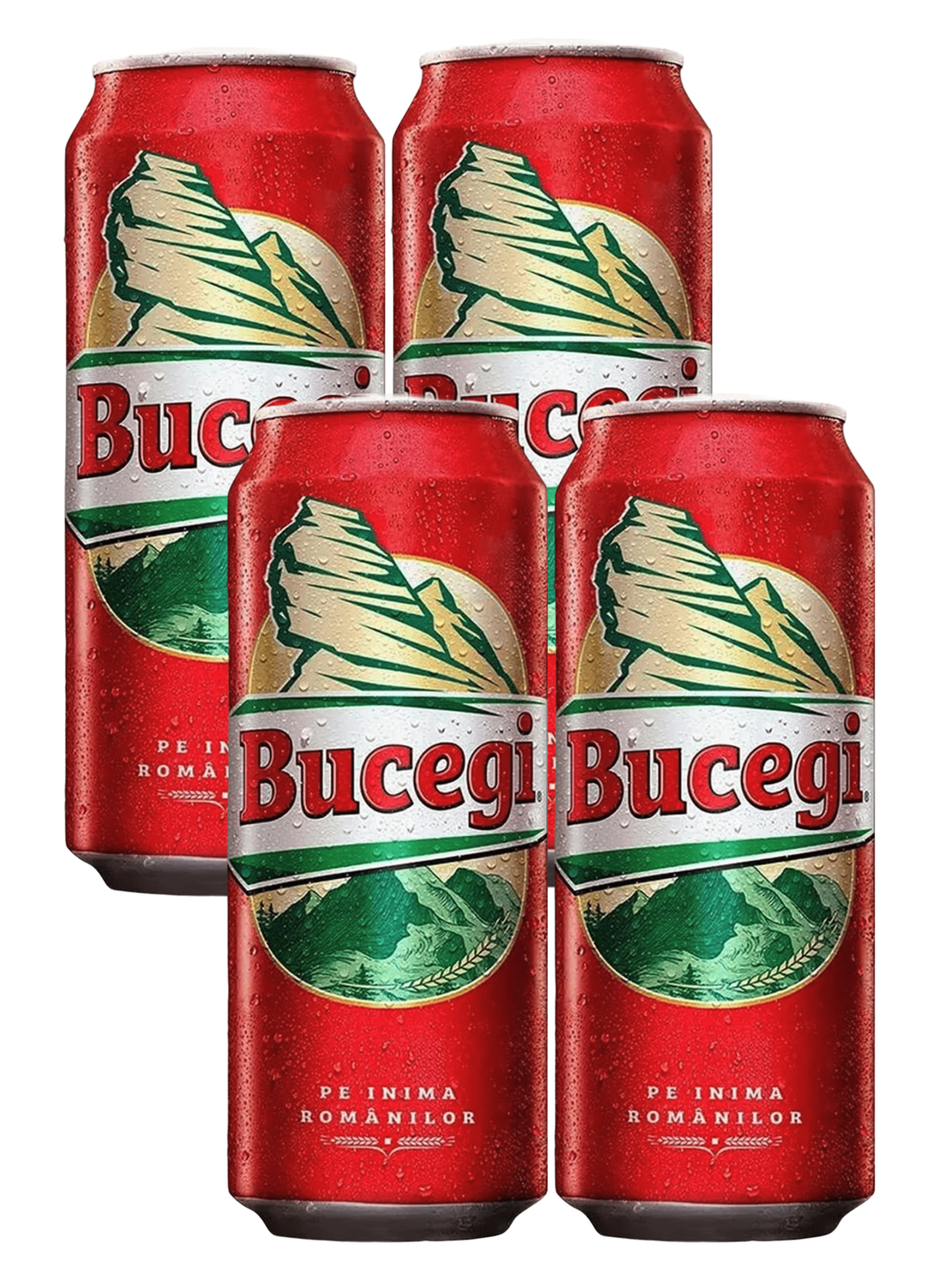 Bucegi Lager 4x500ml