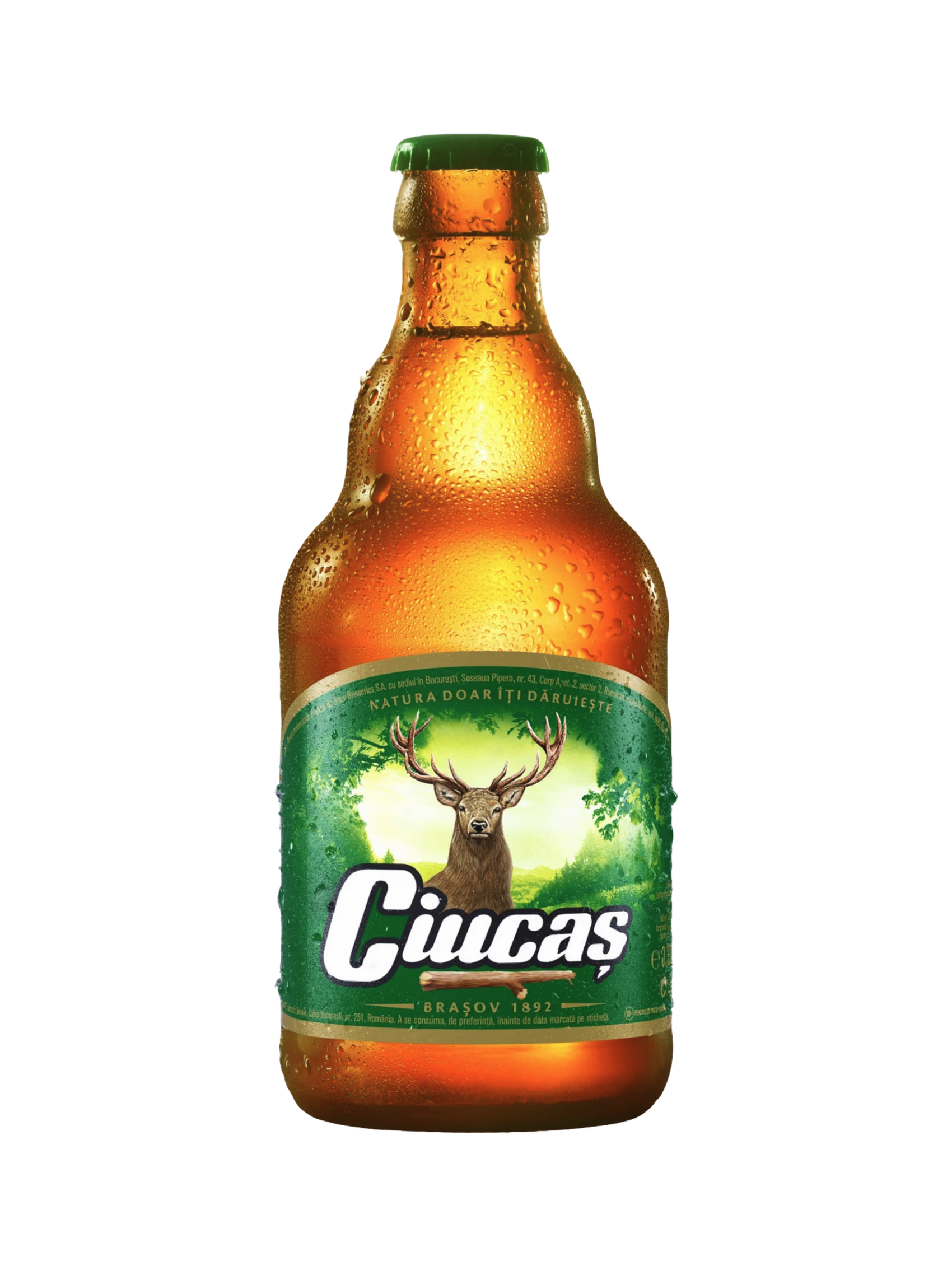 Ciucas Lager 6x330ml