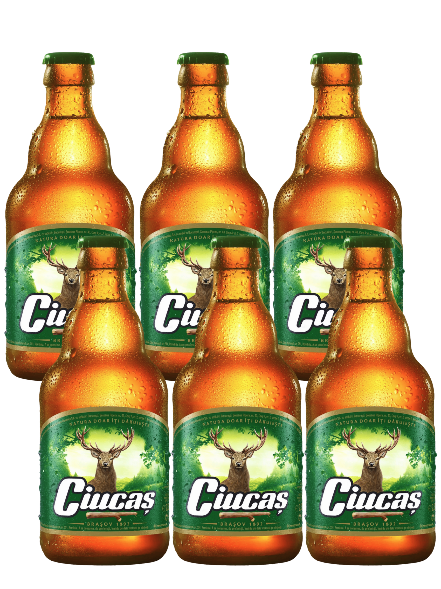 Ciucas Lager 6x330ml
