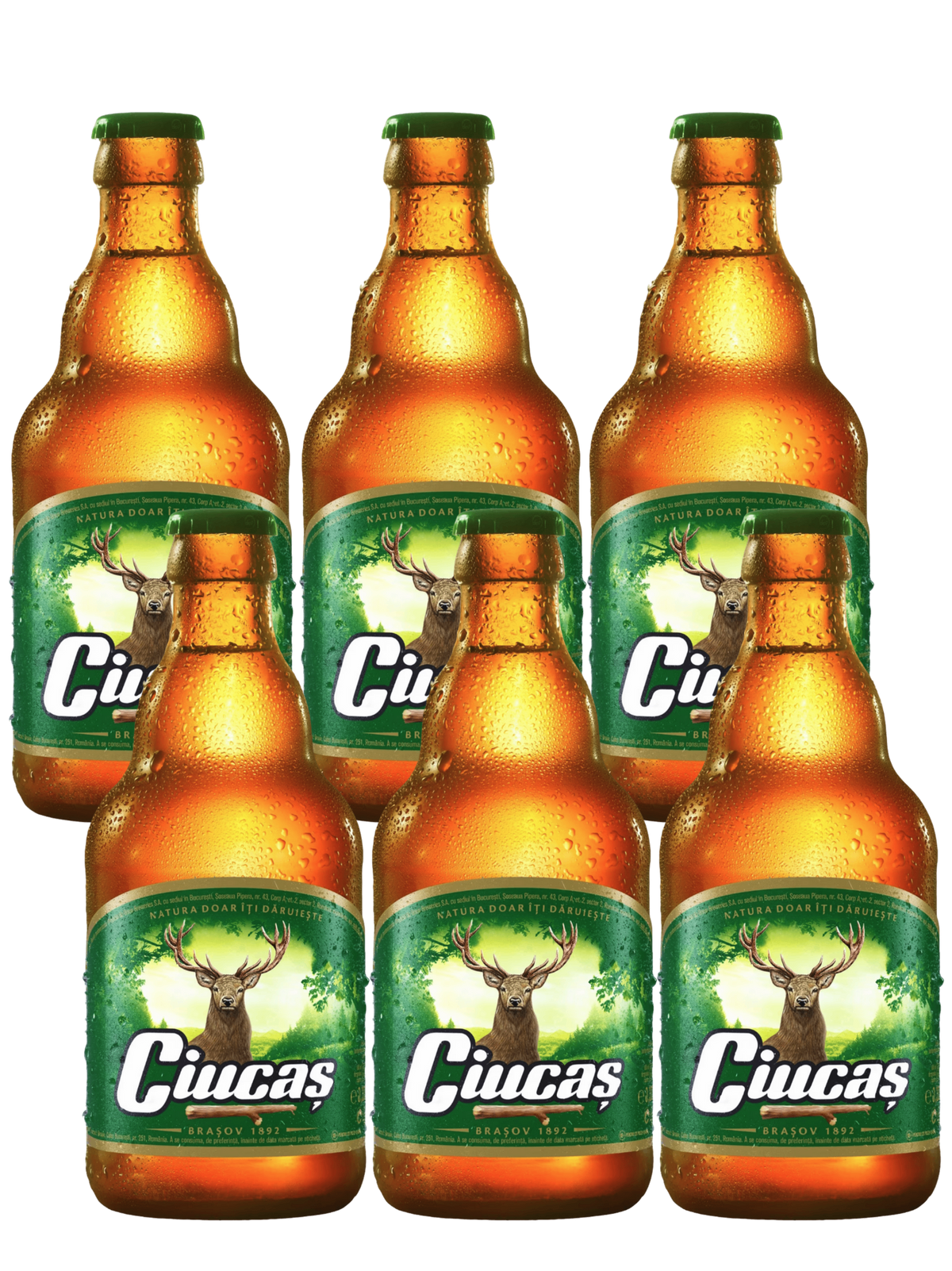 Ciucas Lager 6x330ml