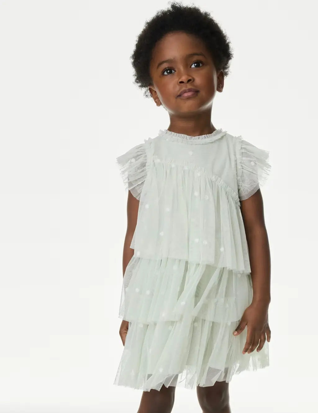 M&S Embroidered Tulle Dress (2-16 Yrs)
