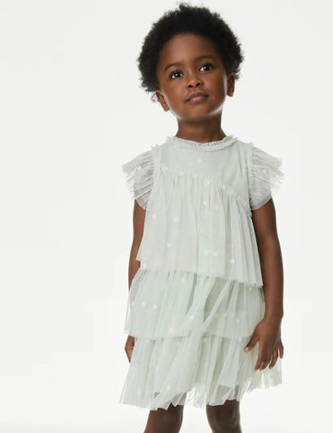 M&S Embroidered Tulle Dress (2-16 Yrs)