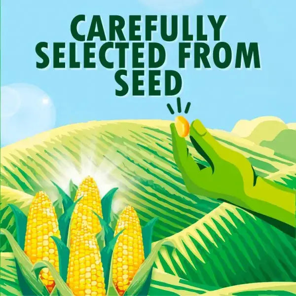 Green Giant Original 198g (Case of 12)