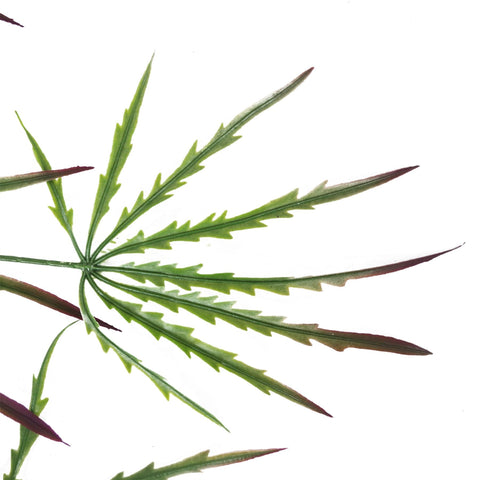 100cm Artificial Hanging Acer Spider Plant