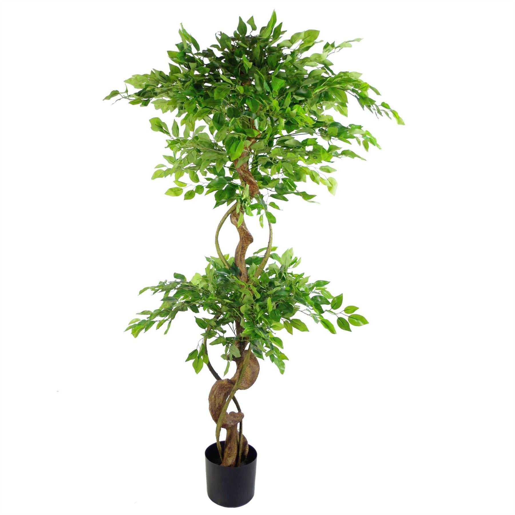 150cm Twisted Trunk Artificial Japanese Fruticosa Style Ficus Tree