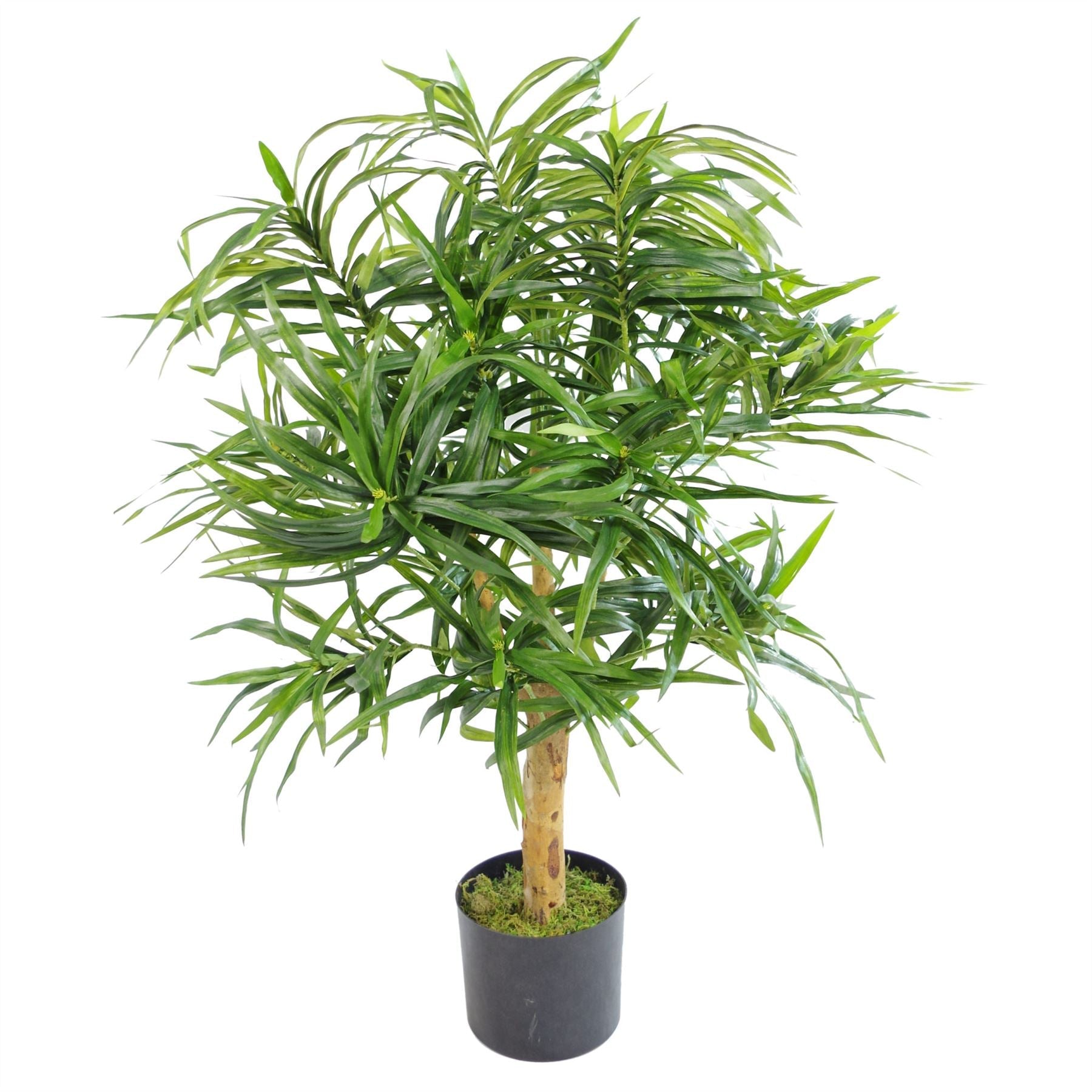 100cm Artificial Dracaena Plant Tree with Pot Premium Range