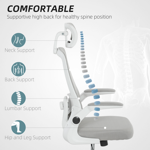 HOMCOM Executive Mesh Office Chair with Headrest, Lumbar Support