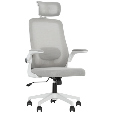 HOMCOM Executive Mesh Office Chair with Headrest, Lumbar Support