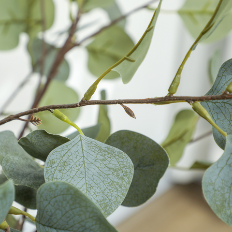 HOMCOM 2 Pack Artificial Plants, Faux Silk Eucalyptus Trees