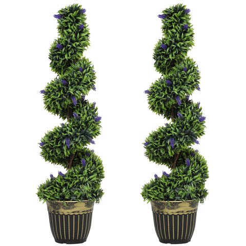 Elegant Spiral Boxwood & Lavender Plant Set – Low Maintenance Decor