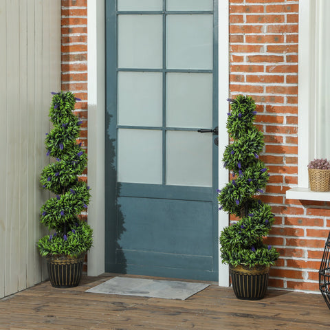 Elegant Spiral Boxwood & Lavender Plant Set – Low Maintenance Decor