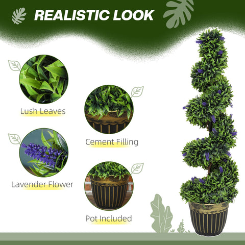 Elegant Spiral Boxwood & Lavender Plant Set – Low Maintenance Decor