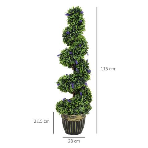 Elegant Spiral Boxwood & Lavender Plant Set – Low Maintenance Decor