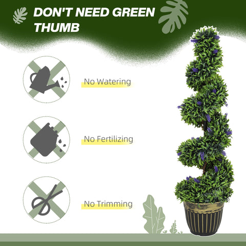 Elegant Spiral Boxwood & Lavender Plant Set – Low Maintenance Decor