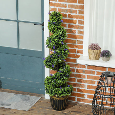 Elegant Spiral Boxwood & Lavender Plant Set – Low Maintenance Decor