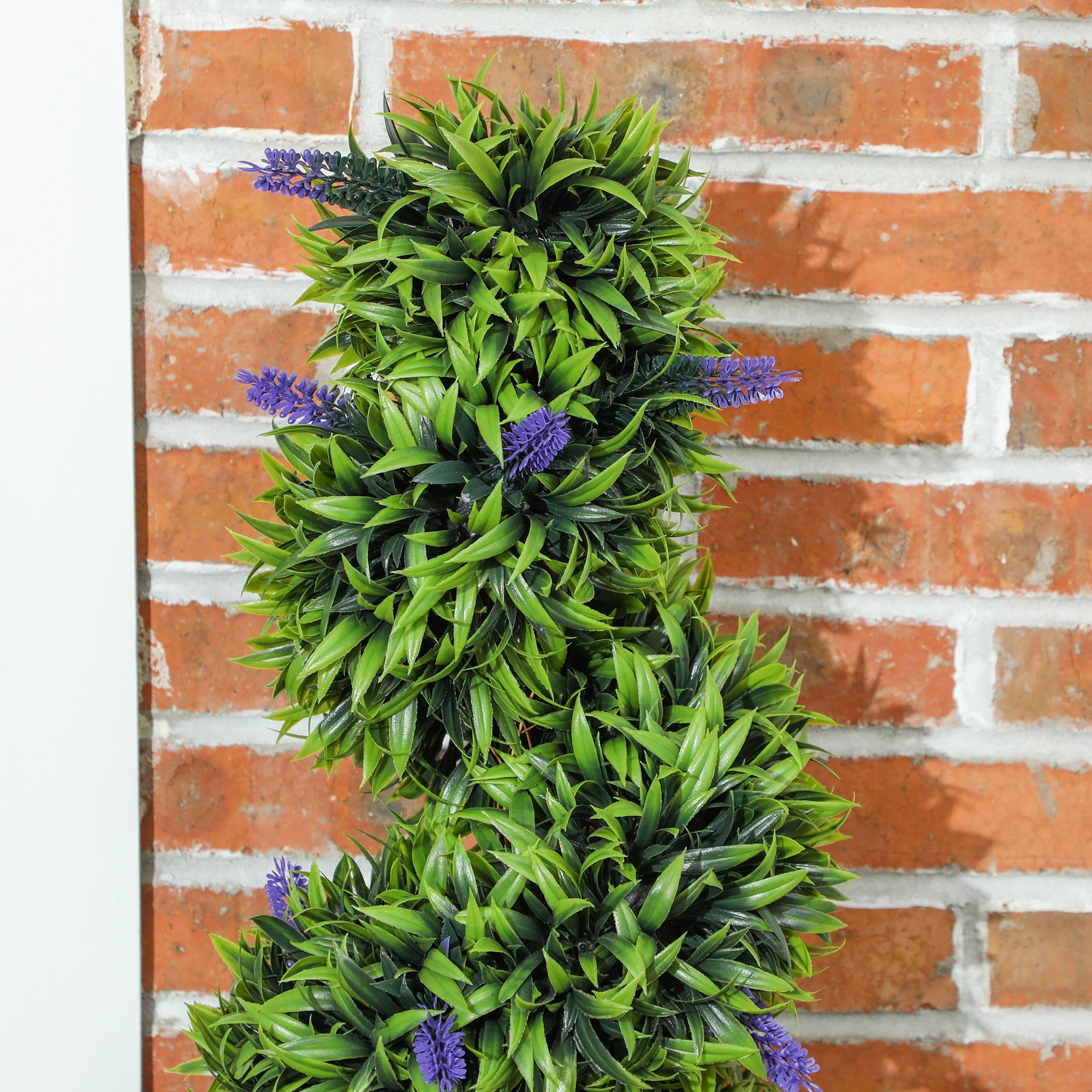 Elegant Spiral Boxwood & Lavender Plant Set – Low Maintenance Decor