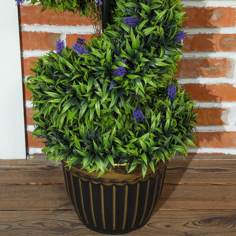 Elegant Spiral Boxwood & Lavender Plant Set – Low Maintenance Decor