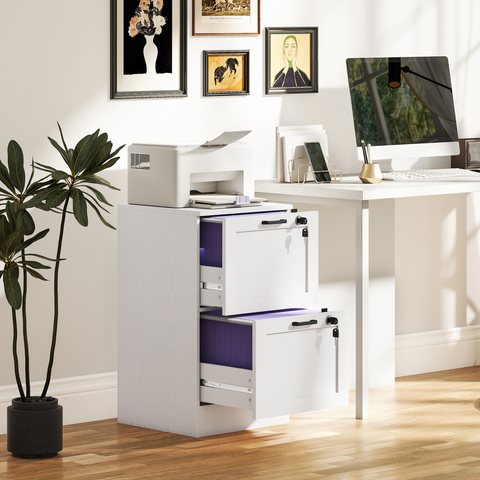 HOMCOM 2-Drawer File Cabinet, Lockable Filing Cabinet for A4 Letter