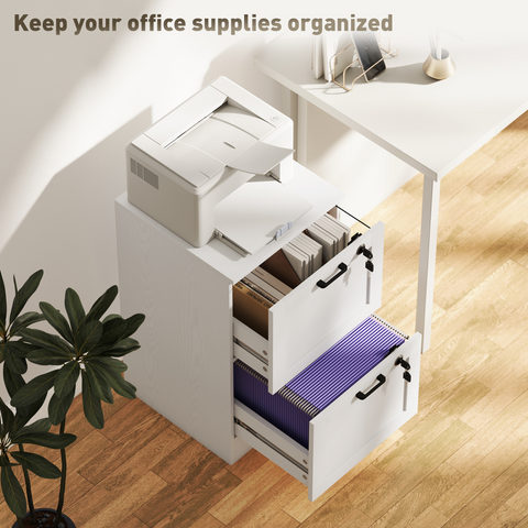HOMCOM 2-Drawer File Cabinet, Lockable Filing Cabinet for A4 Letter