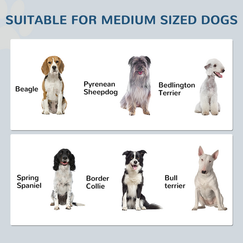 PawHut Dog Feeding Station with Storage, Pet Feeding Station with Dog Bowls