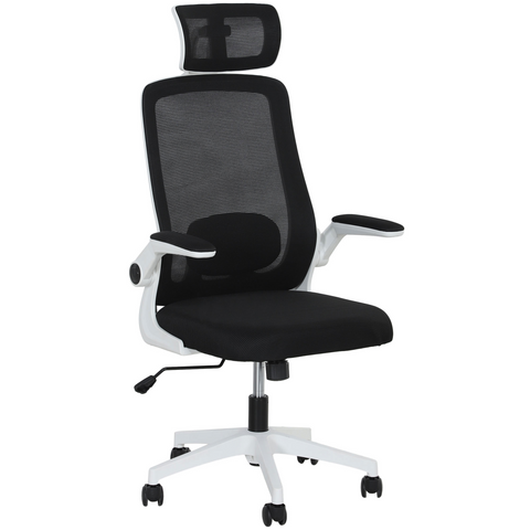 HOMCOM Executive Mesh Office Chair with Headrest, Lumbar Support