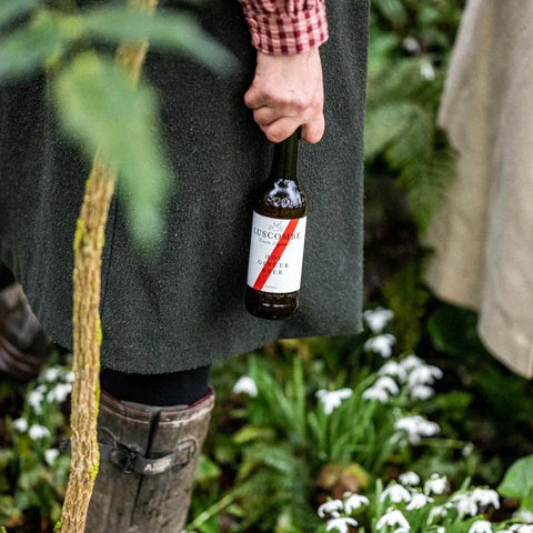 Hot Ginger Beer 270ml - Organic - Luscombe