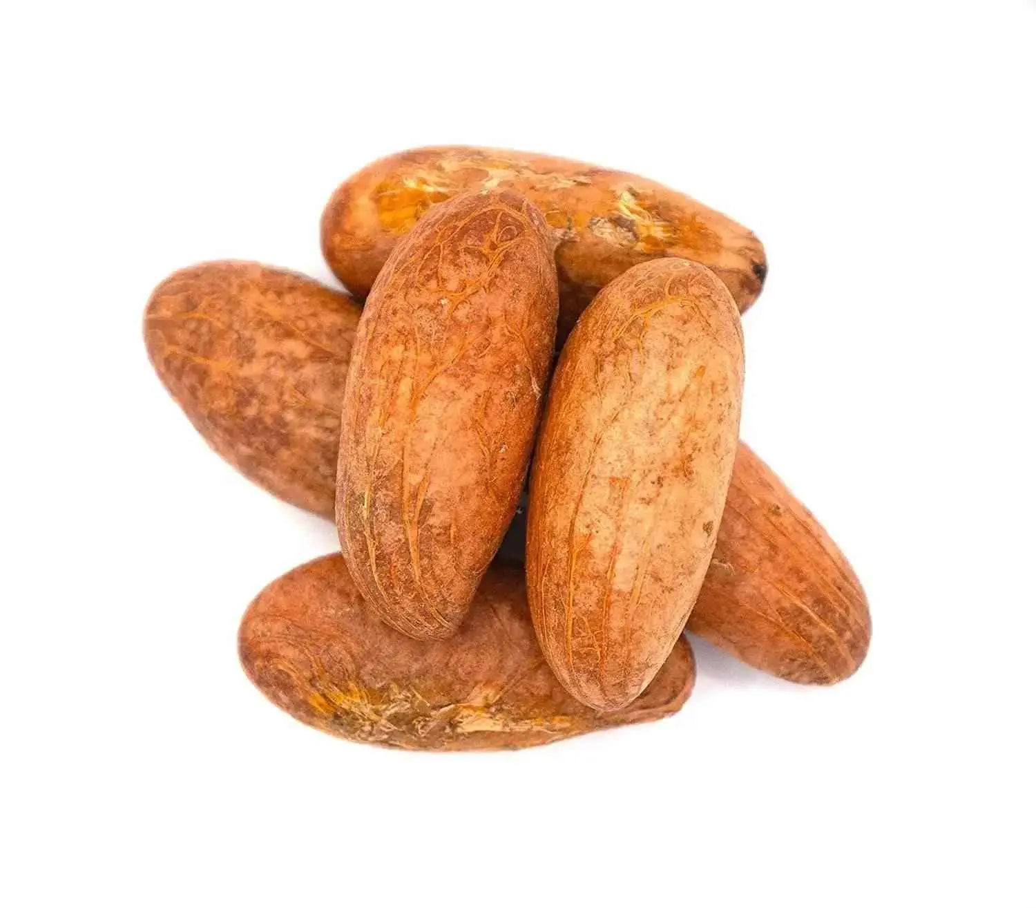 Bitter Kola Nut (Cola Nuts) Fresh Garcinia Kola Approx 4 Pieces