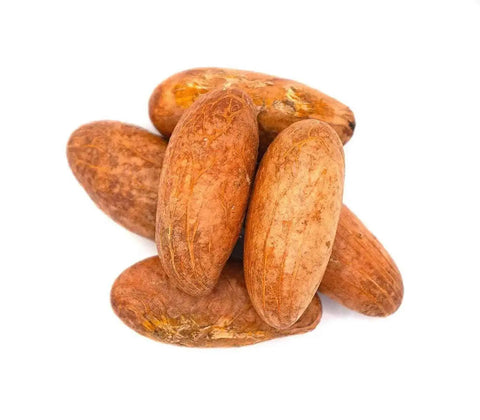 Bitter Kola Nut (Cola Nuts) Fresh Garcinia Kola Approx 4 Pieces