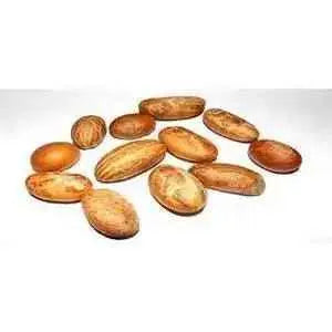 Bitter Kola Nut (Cola Nuts) Fresh Garcinia Kola Approx 4 Pieces