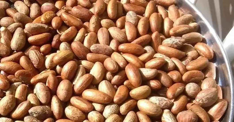Bitter Kola Nut (Cola Nuts) Fresh Garcinia Kola Approx 4 Pieces