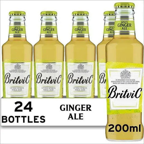 Britvic Spicy Ginger Ale Bottle 200ml (Case of 24)
