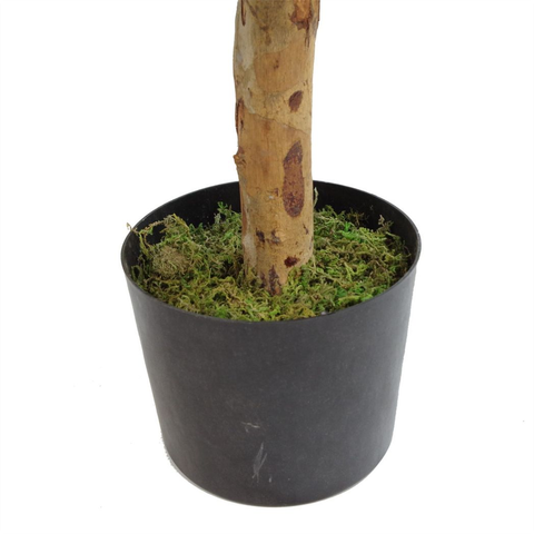 100cm Artificial Dracaena Plant Tree with Pot Premium Range